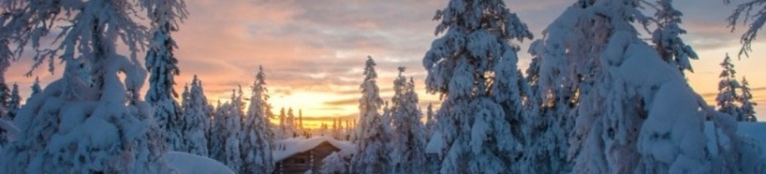 Fijne feestdagen en een gelukkig en gezond 2026 gewenst!